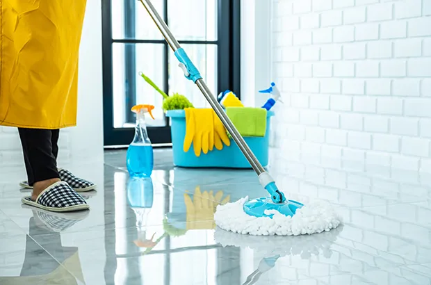 Professional deep cleaning services